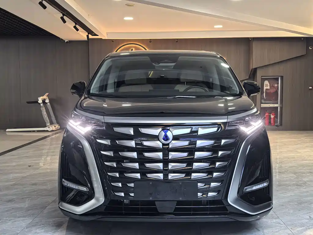 Denza Denza D9 — миниатюра 2