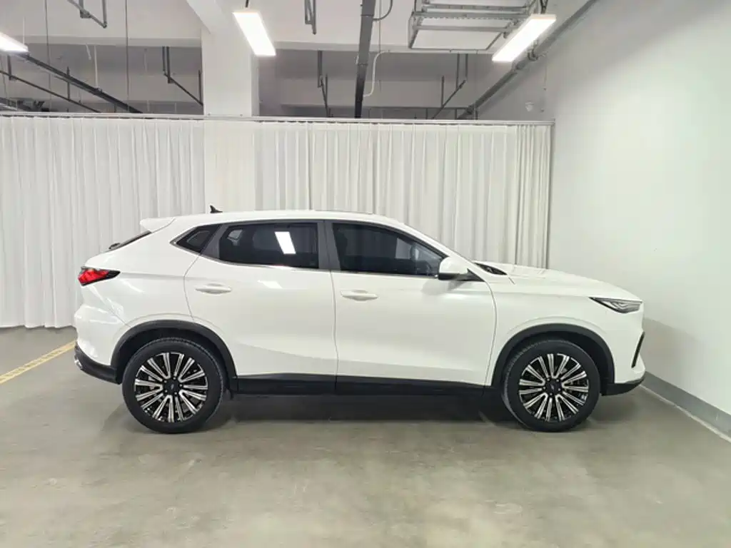 Oshan Oushang X5 — миниатюра 3