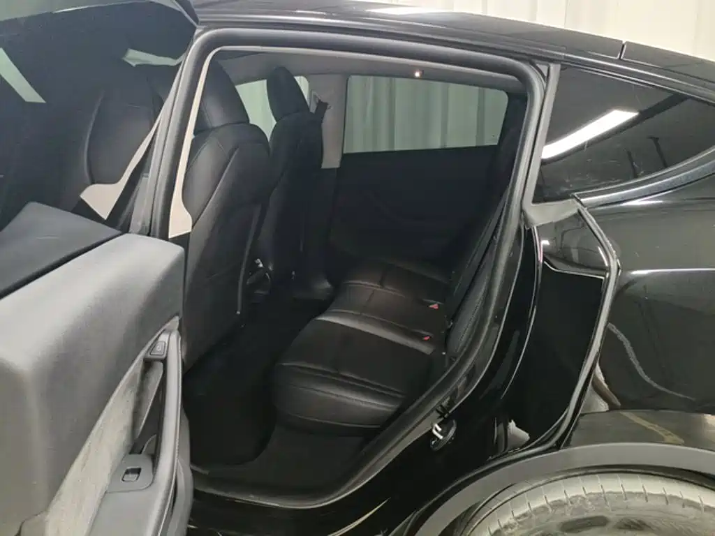 Tesla Model Y — миниатюра 10