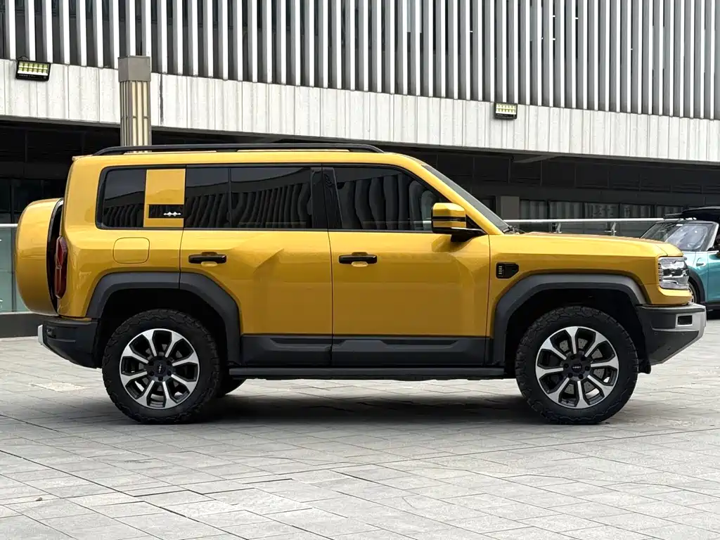 FANG CHENG BAO LEOPARD 5