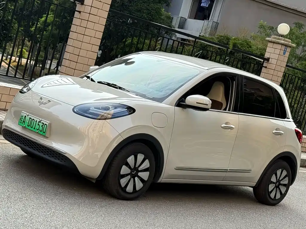 Wuling Bingo