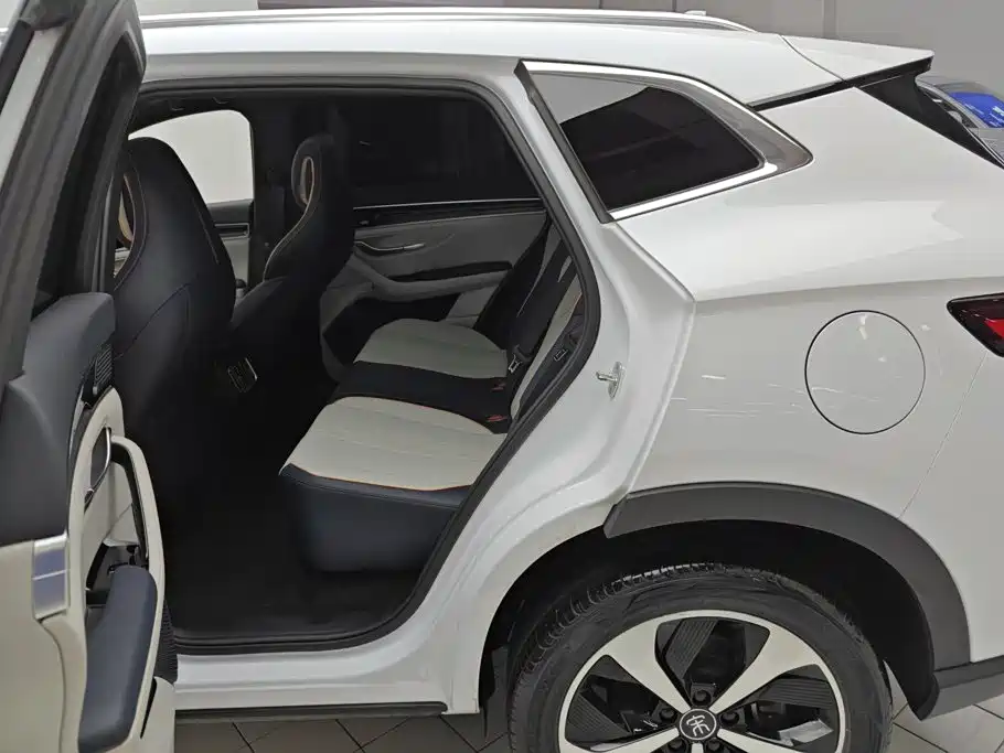 BYD PLUS New Energy — миниатюра 11