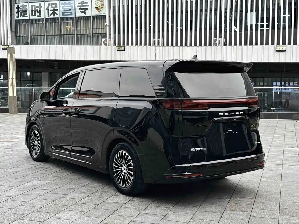 Denza Denza D9 — миниатюра 20