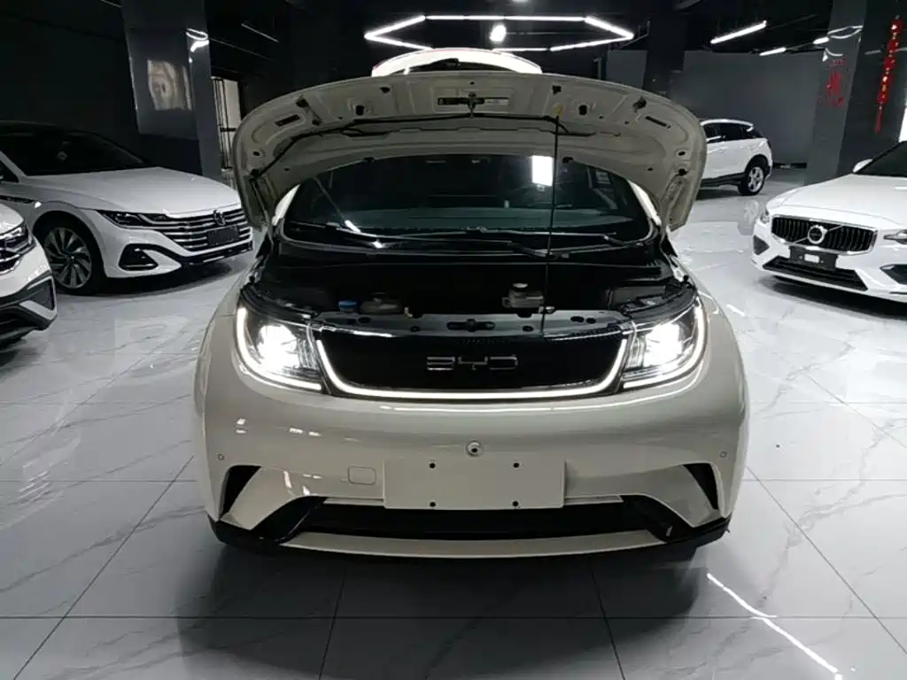 BYD Dolphin — миниатюра 20