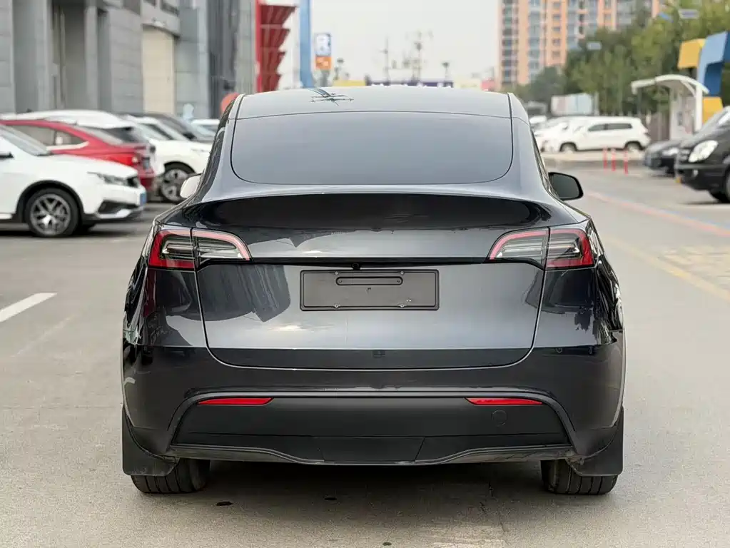 Tesla Model Y — миниатюра 3