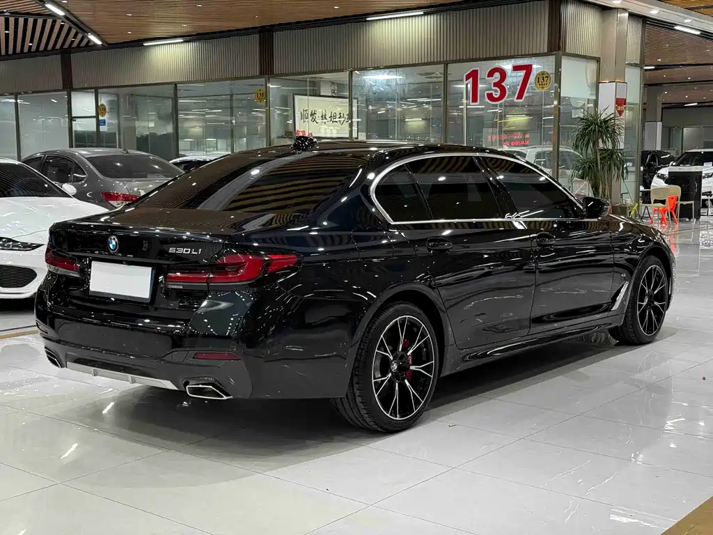 BMW 5 Series — миниатюра 5