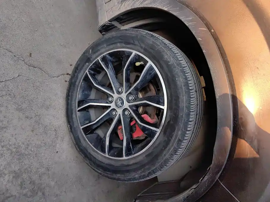 FAW Senya R7 — миниатюра 6