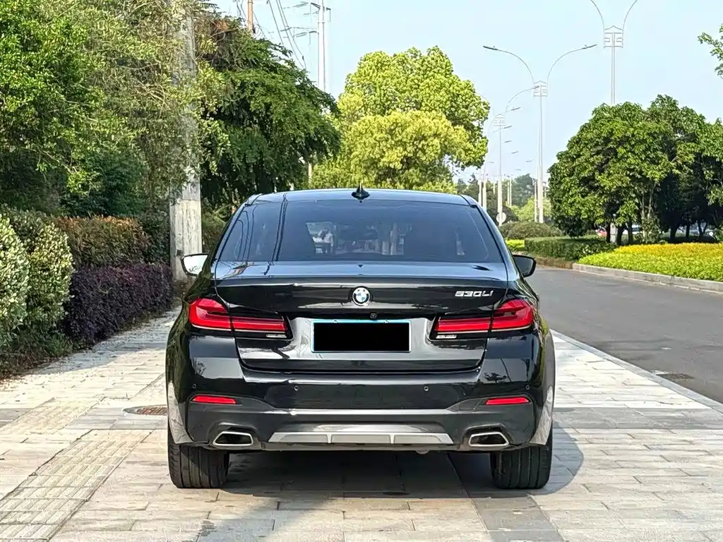 BMW 5 Series — миниатюра 4