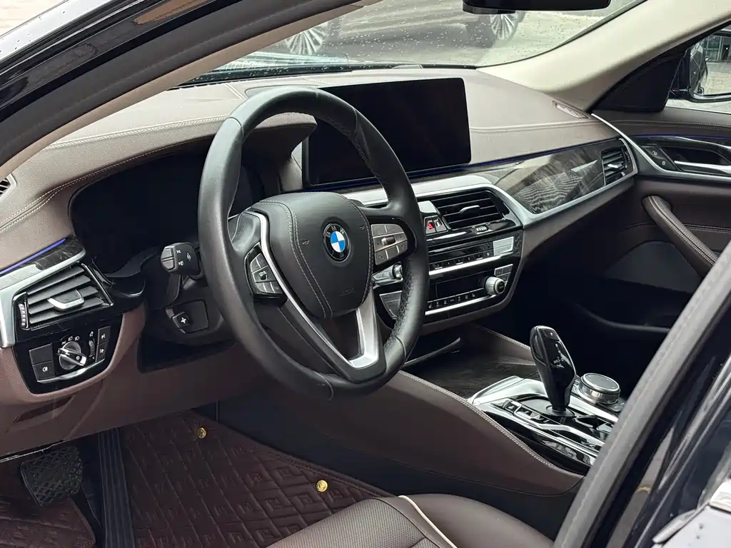 BMW 5 Series 5 2021 530Li Lead Luxury