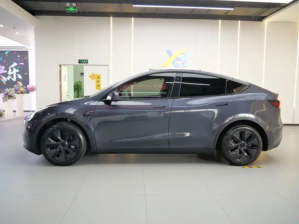 Tesla Model Y — миниатюра 4