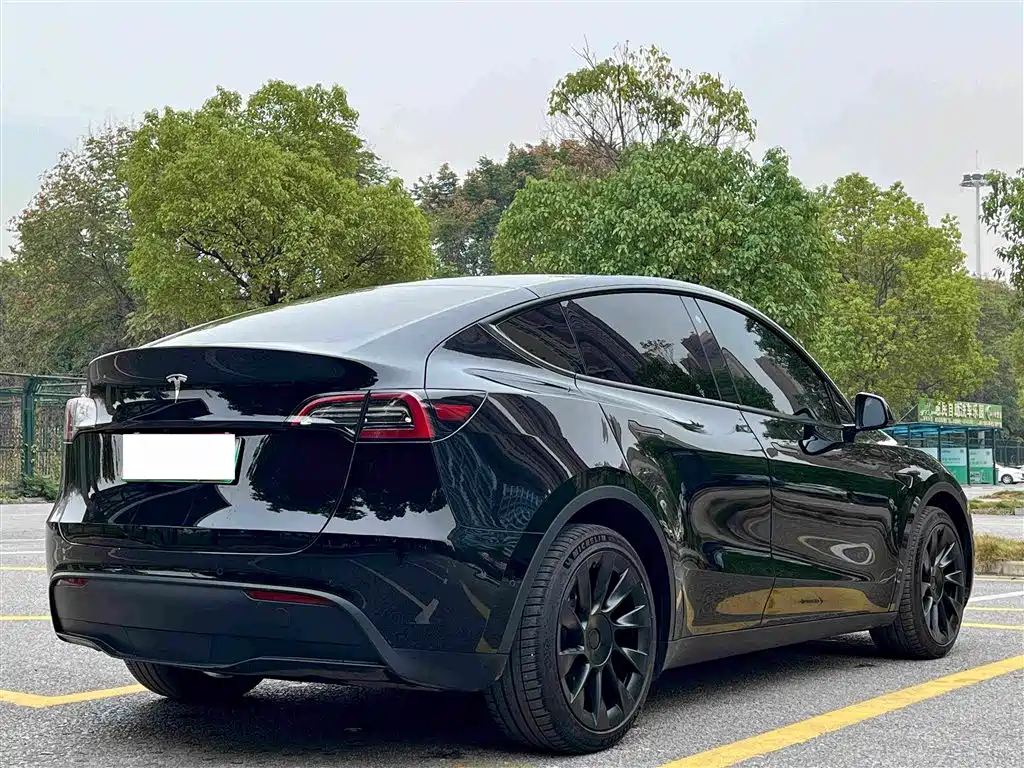 Tesla Model Y — миниатюра 12