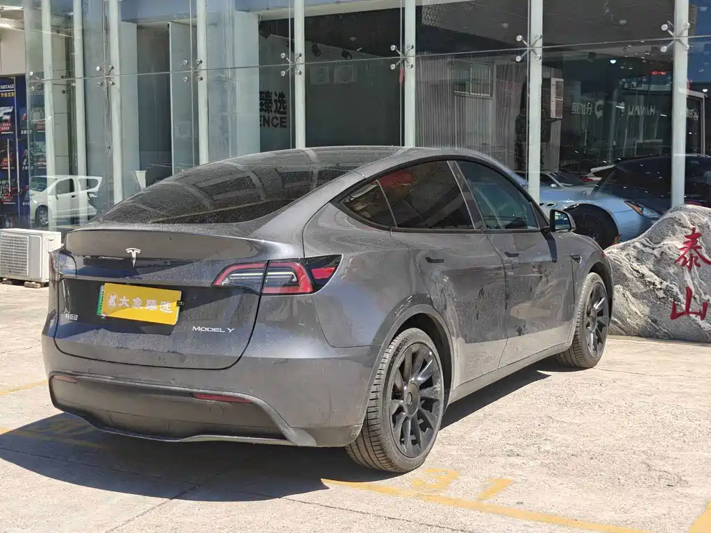 Tesla Model Y — миниатюра 12