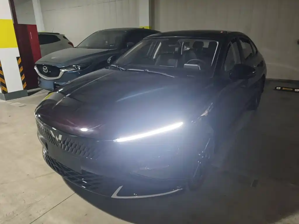 Wuling Xingguang — миниатюра 2