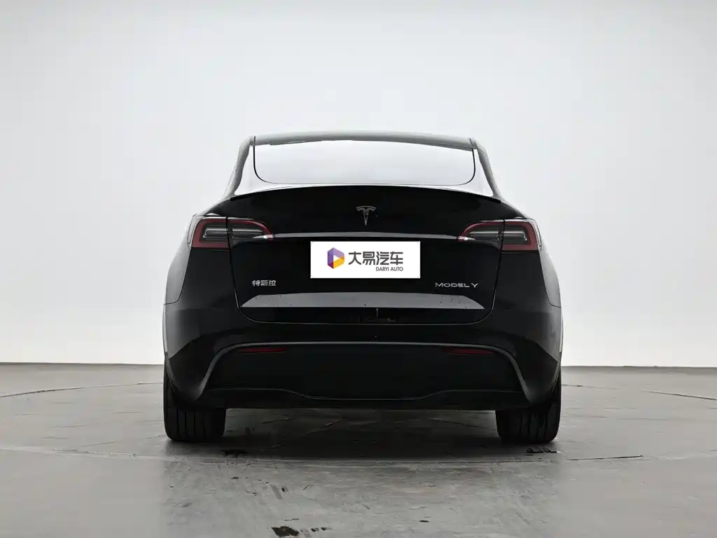 Tesla Model Y — миниатюра 4
