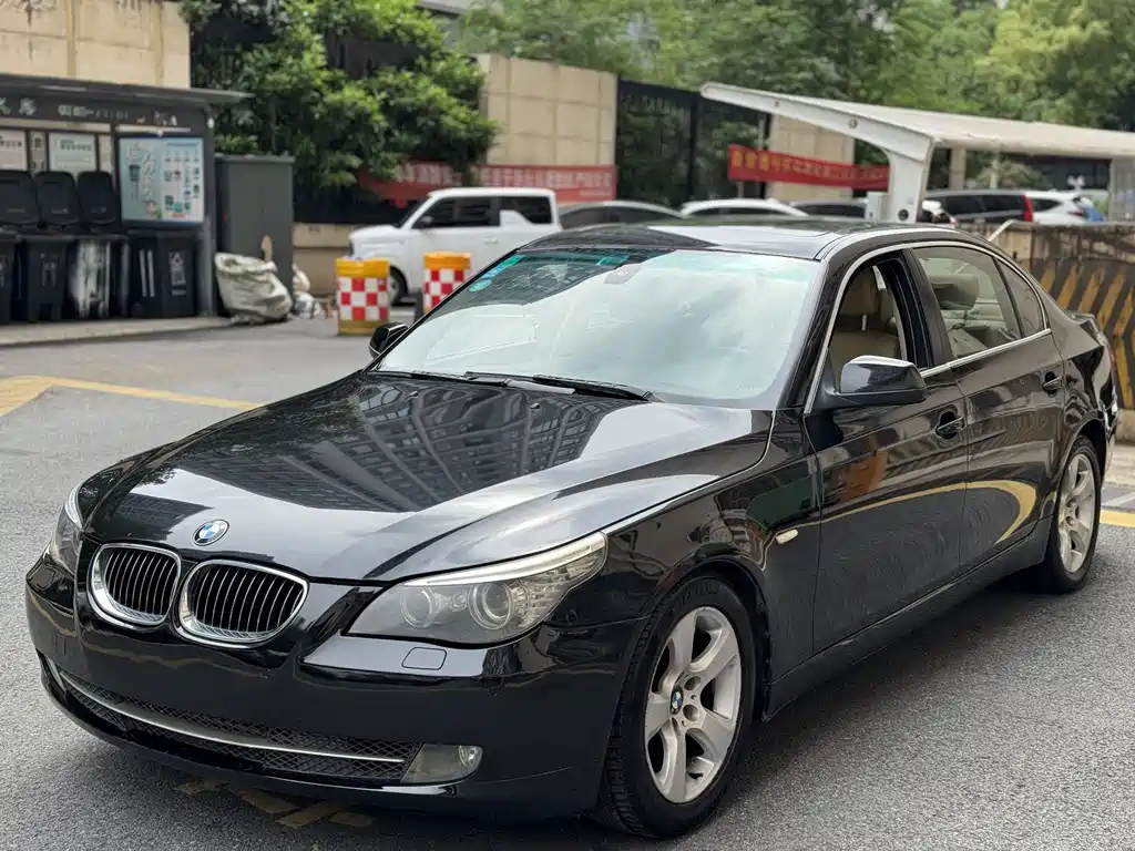 BMW 5 Series 2010