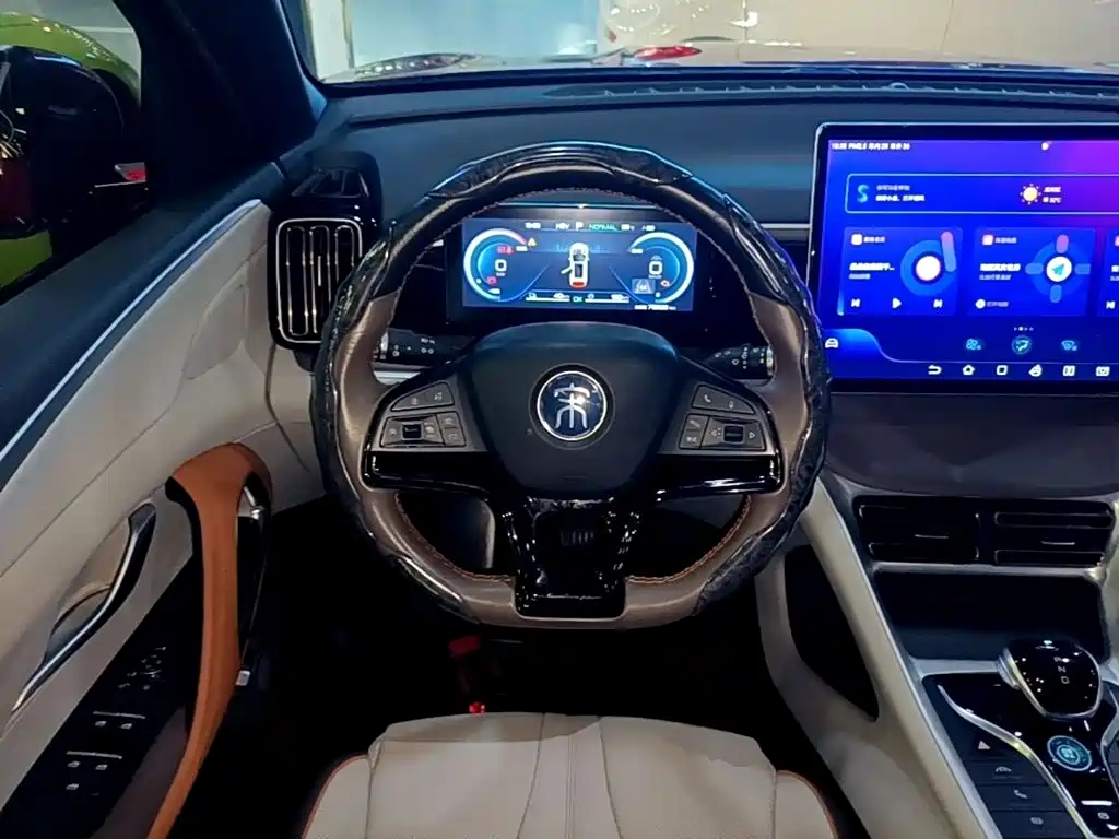 BYD Pro New Energy — миниатюра 11