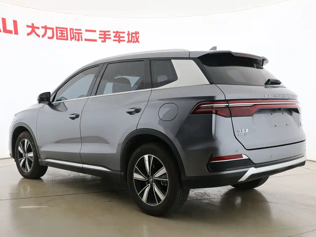 BYD Pro New Energy — миниатюра 15
