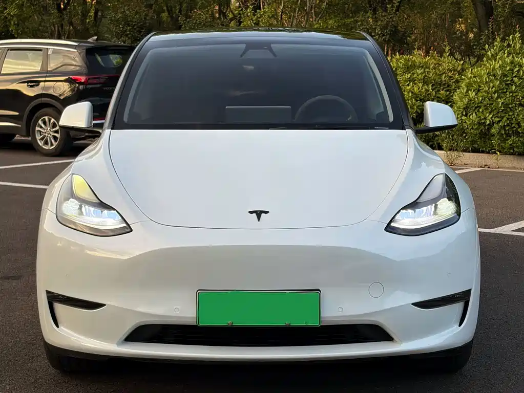 Tesla Model Y — миниатюра 2