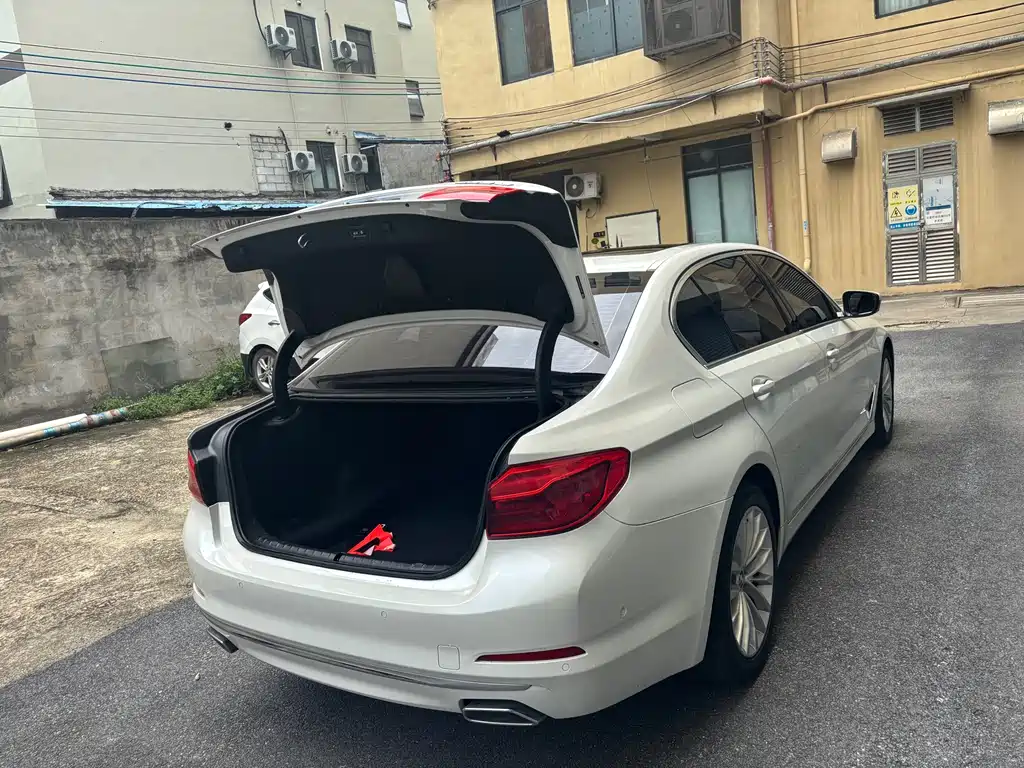BMW 5 Series 5 2020 530Li Lead Luxury