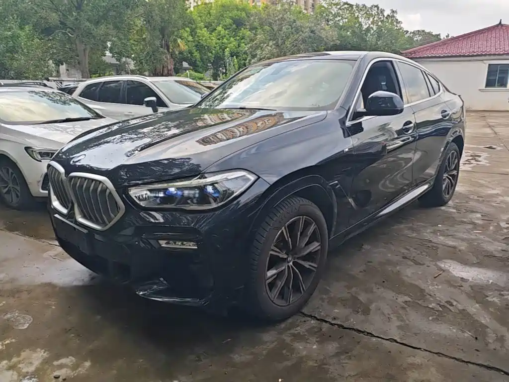 BMW X6 — миниатюра 2