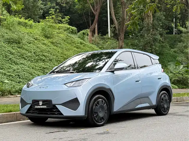 BYD Seagull