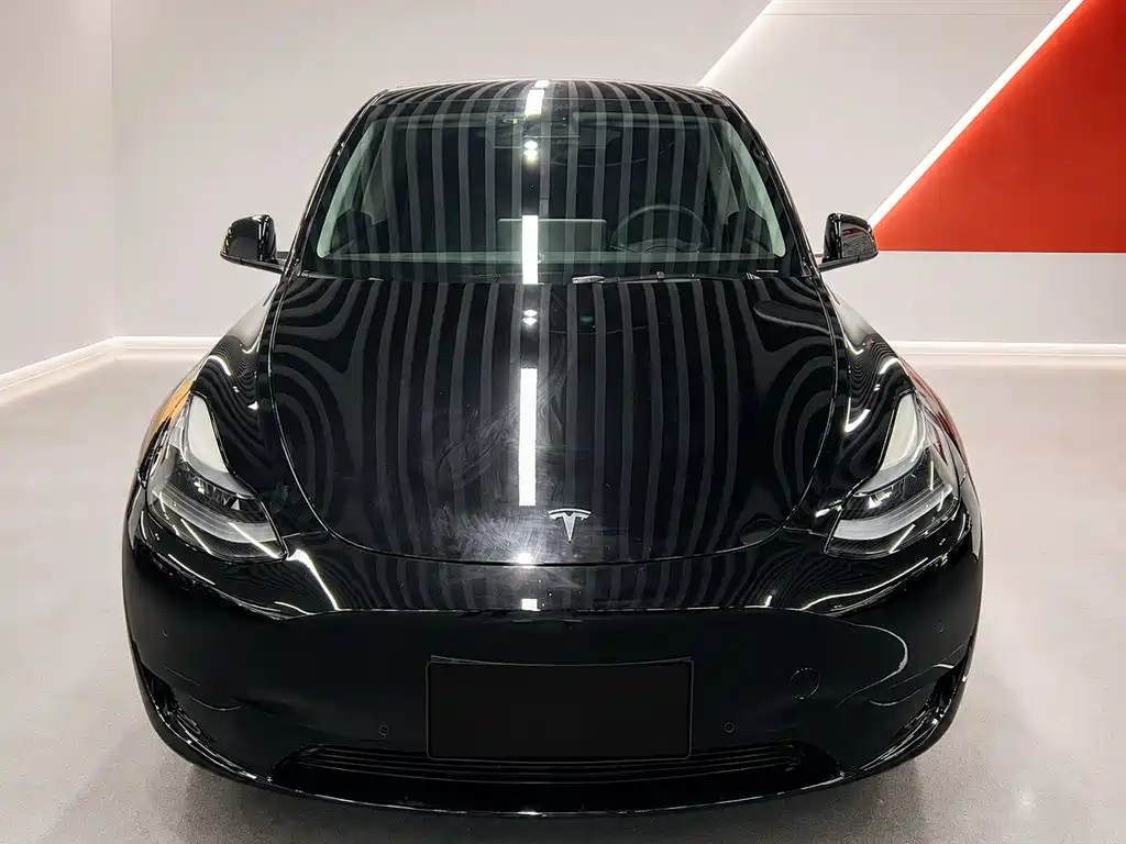 Tesla Model Y — миниатюра 2