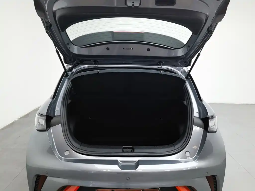 BYD Dolphin — миниатюра 16