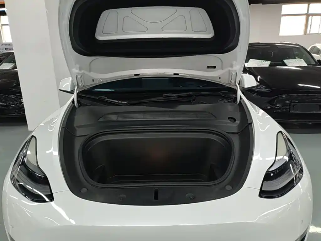 Tesla Model Y — миниатюра 20