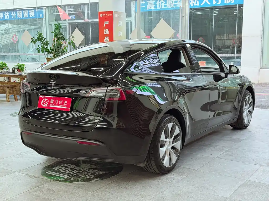 Tesla Model Y — миниатюра 7