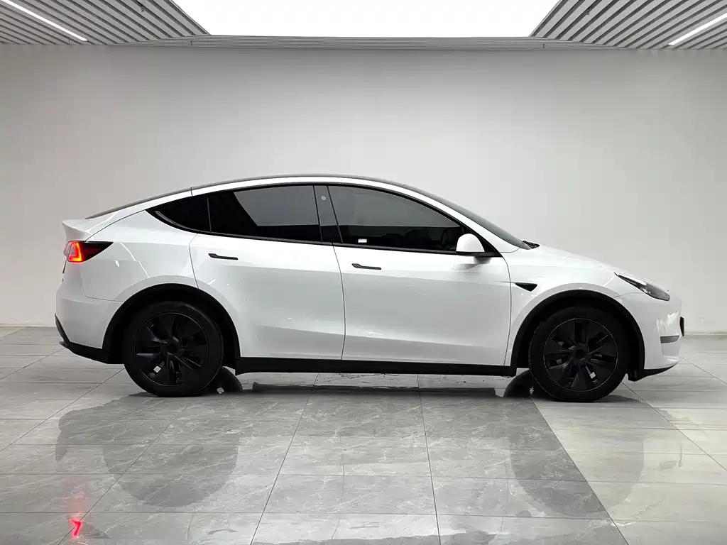 Tesla Model Y — миниатюра 8