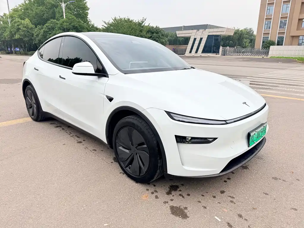 Tesla Model Y — миниатюра 3