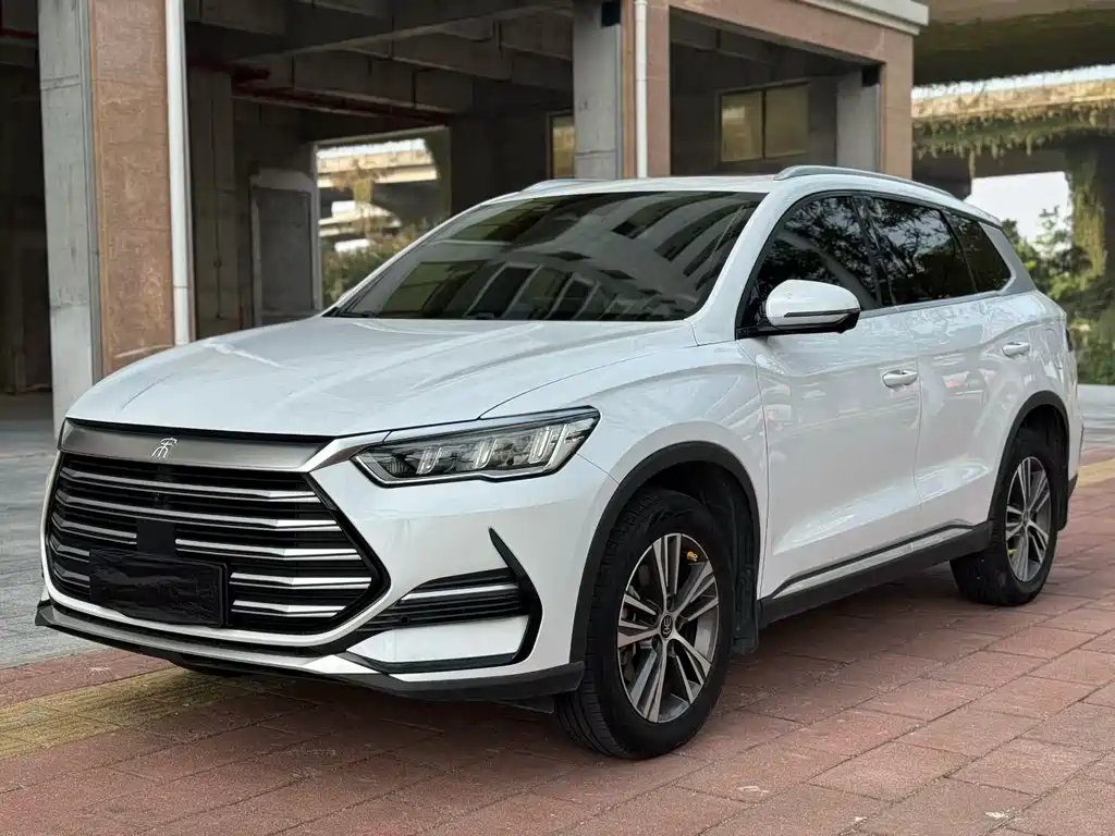 Byd Pro New Energy 2022