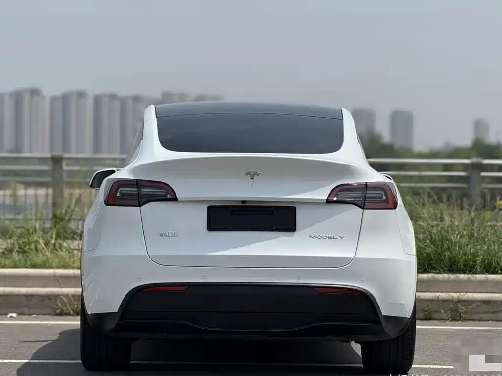 Tesla Model Y — миниатюра 12