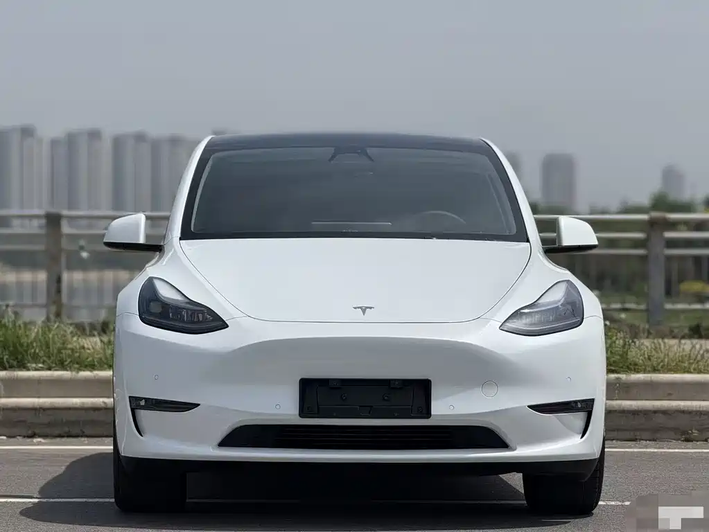 Tesla Model Y — миниатюра 11
