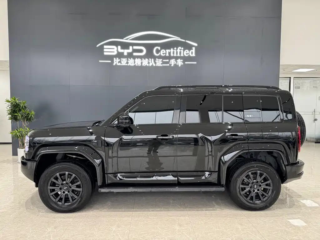 FANG CHENG BAO LEOPARD 5