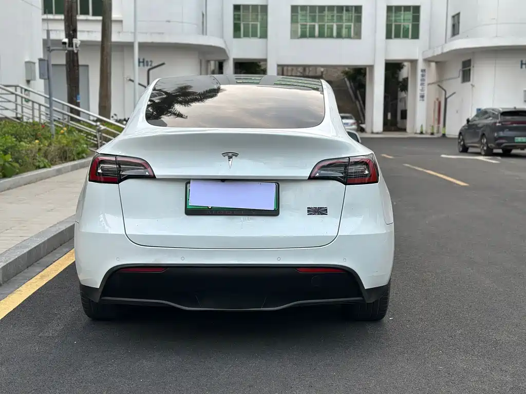 Tesla Model Y — миниатюра 5