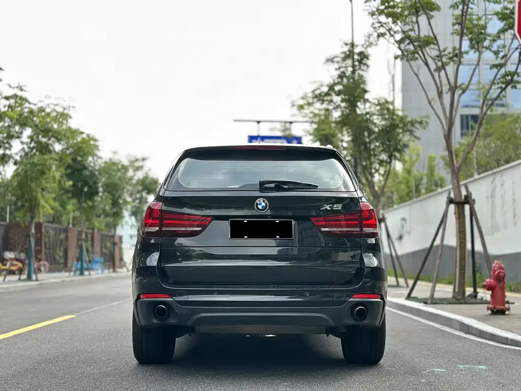 BMW X5 (Import) — миниатюра 6