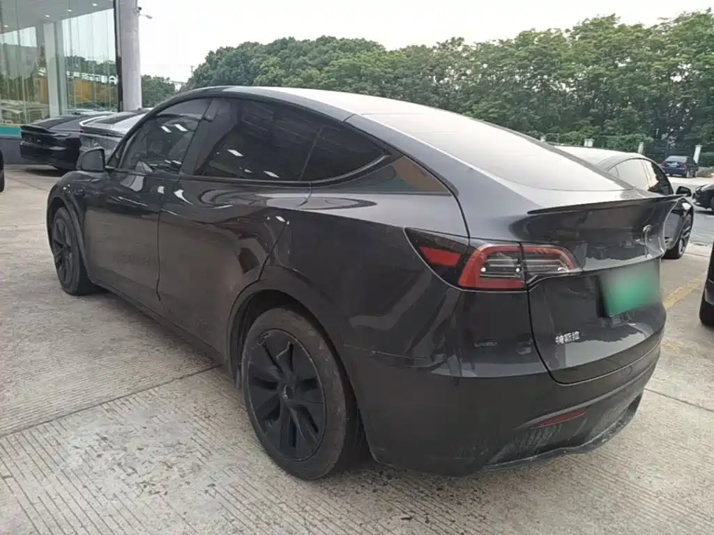 Tesla Model Y — миниатюра 5