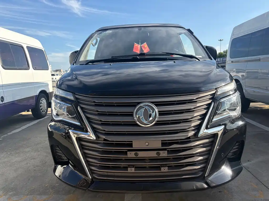 Fengxing Lingzhi — миниатюра 2