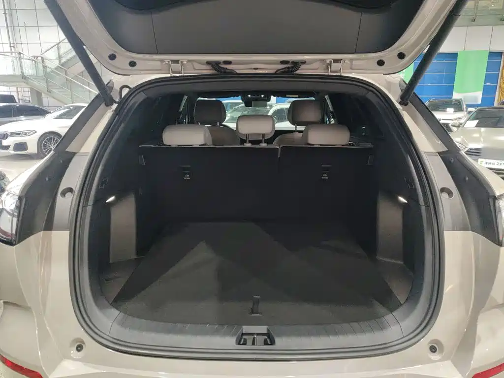 BYD Sealion 06 — миниатюра 15