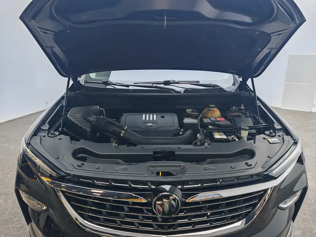 Buick Enclave — миниатюра 13