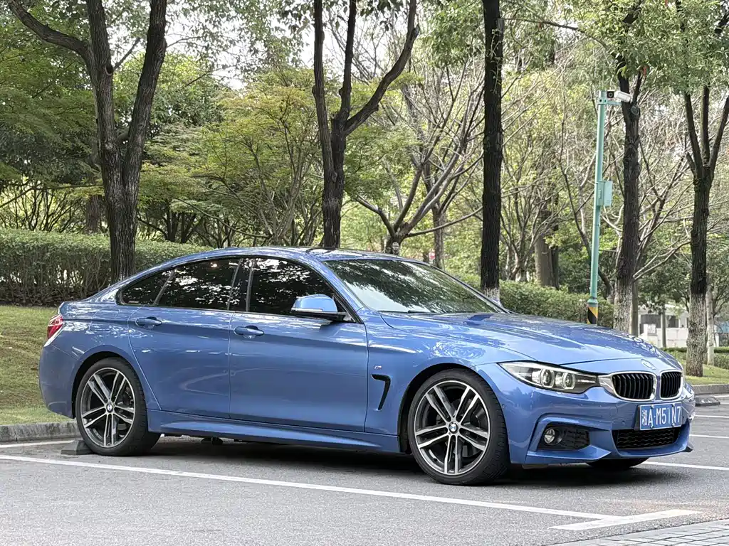 BMW 4 Series — миниатюра 5