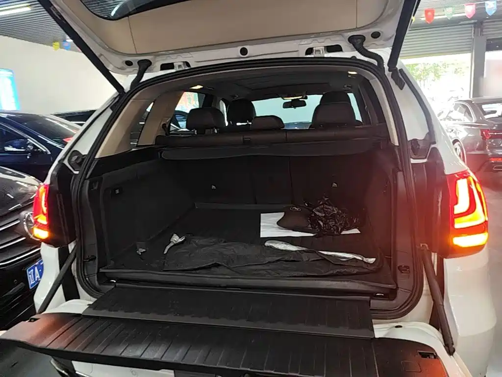 BMW X5 (Import) — миниатюра 19
