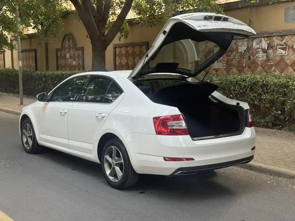 Skoda Octavia — миниатюра 2