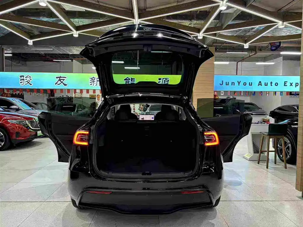 Tesla Model Y — миниатюра 6