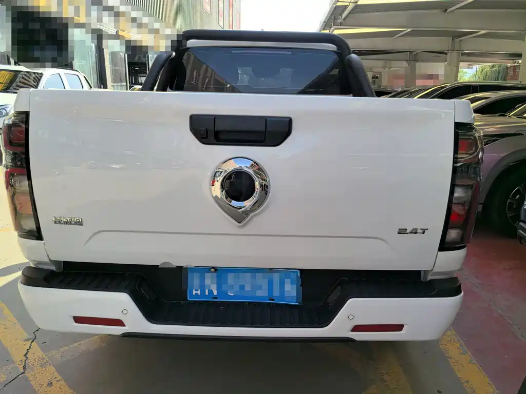 Great Wall Pao — миниатюра 5