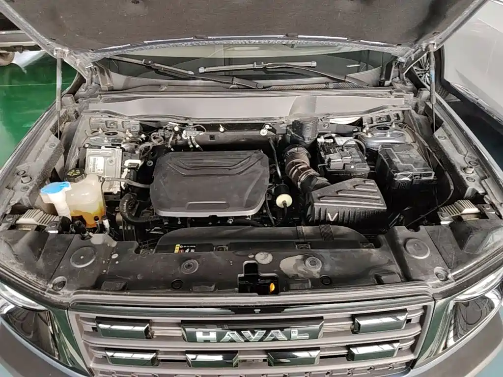 Haval Big Dog — миниатюра 20