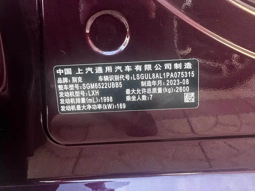 Buick GL8 — миниатюра 17