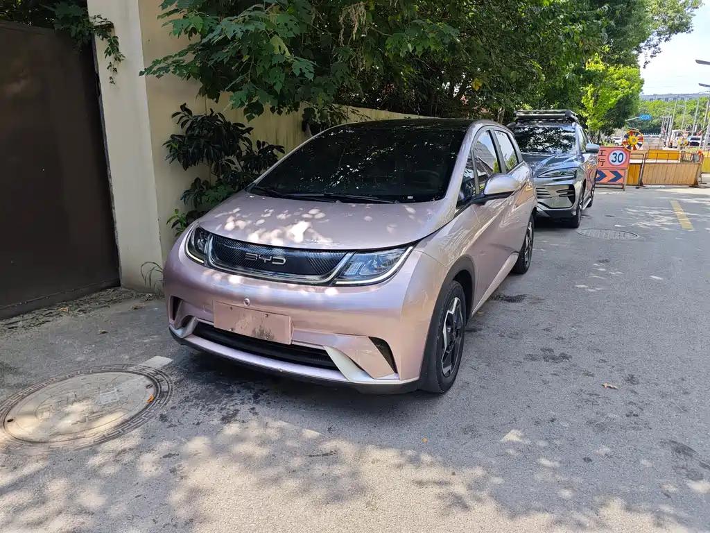 BYD Dolphin