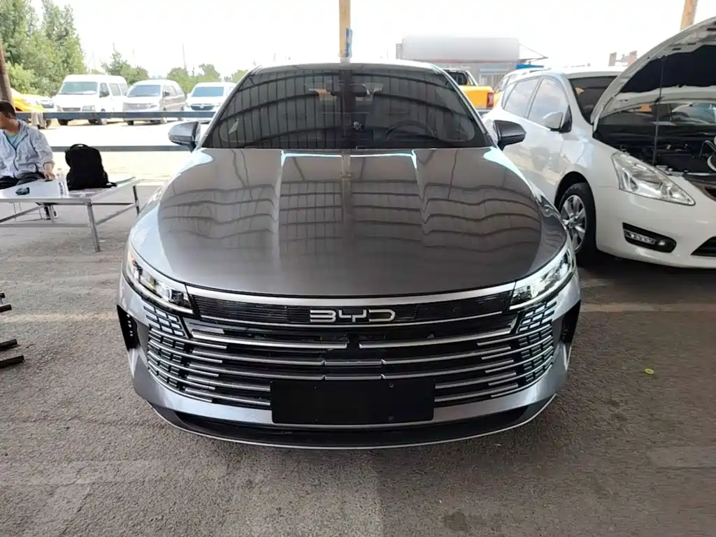 BYD Destroyer 05 2024 DM-i 55KM Luxury
